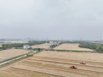 苏州乡村业夏收农忙农机抢收颗粒归仓