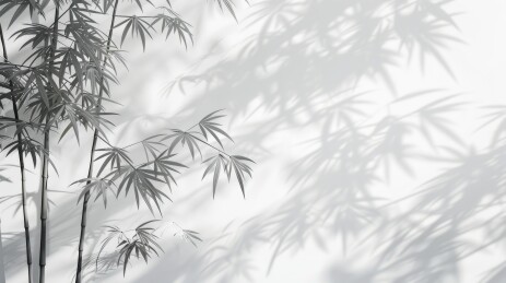 竹影背景插画