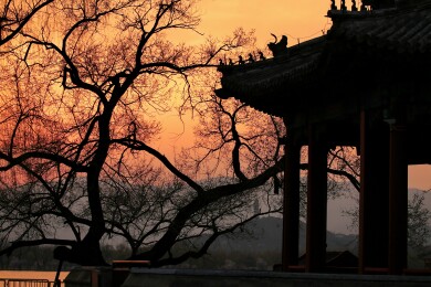 北京昆明湖晚霞大树和建筑局部近景