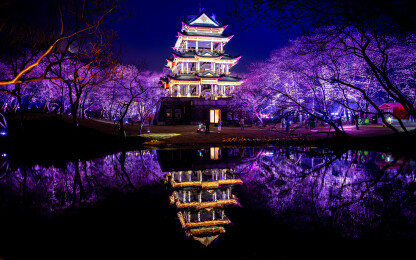 无锡鼋头渚印花夜景