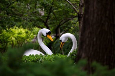 北京玉渊潭公园花草小景
