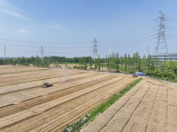 三夏生产进行时，农机上阵抢收小麦