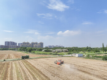 三夏生产进行时，农机上阵抢收小麦