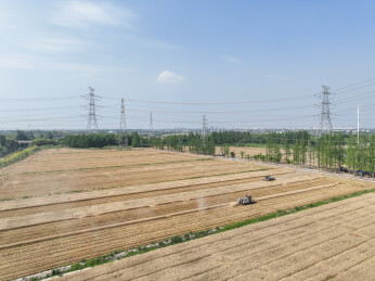 三夏生产进行时，农机上阵抢收小麦
