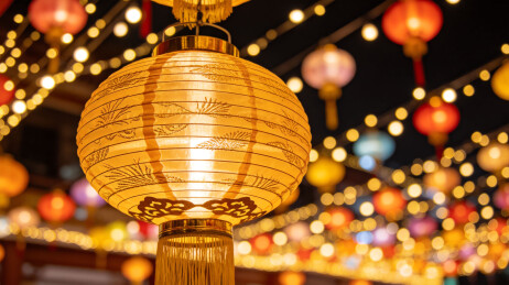 中秋灯会璀璨夜景