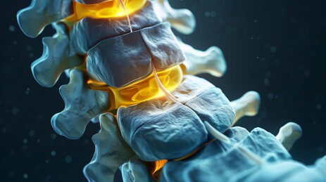 3D发光人类脊椎骨骼医学概念