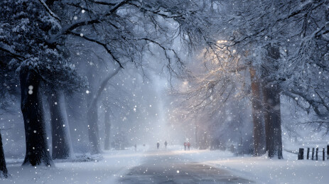 雪夜林间小径行人漫步