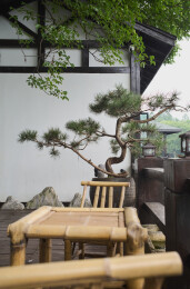 初夏武汉东湖风景区水榭景观