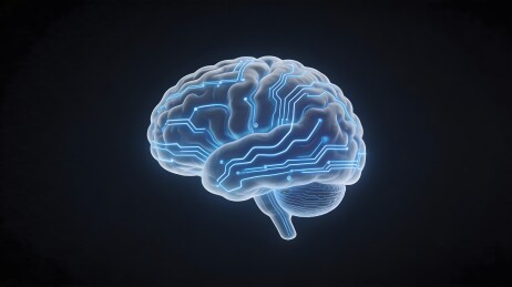 科技感大脑与电路结合图像