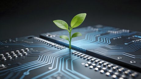 科技芯片上的绿色幼苗