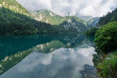 中国四川省阿坝州九寨沟风景区箭竹海风景