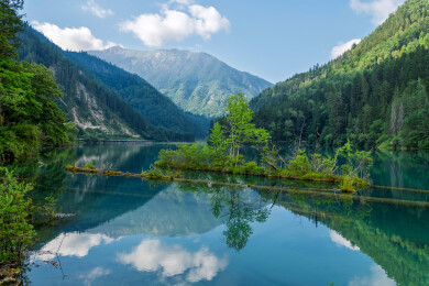 中国四川省阿坝州九寨沟风景区箭竹海风景
