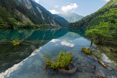 中国四川省阿坝州九寨沟风景区箭竹海风景