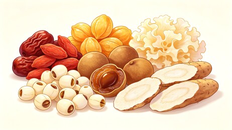 养生煲汤食材红枣桂圆插画