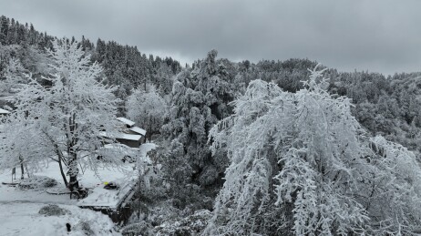 云南彝良小草坝春雪
