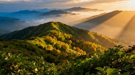 晨曦山林雾霭缭绕图片