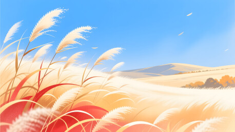 处暑芒草蓝天背景