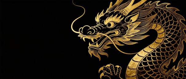 黑金描金传统神龙国风横版插画
