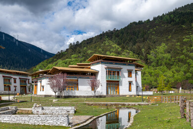 中国西藏林芝市巴宜区鲁朗镇的藏式建筑