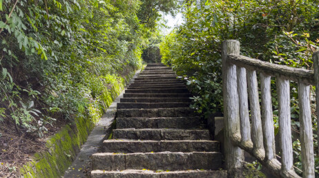 深圳梧桐山森林公园林间登山道