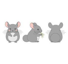 龙猫三视图萌系卡通插画