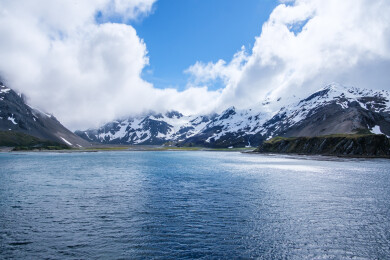英国南乔治亚群岛露脊鲸湾海岛自然风光