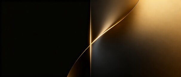 双曲面黑金极简轻奢商务背景
