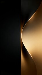 双曲面黑金极简轻奢商务背景