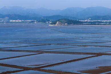 中国浙江省台州市温岭市城南镇大海滩涂