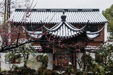 中国浙江杭州郭庄梅花