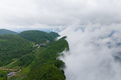 中国湖北恩施黄鹤枫林云顶风景区夏季风光