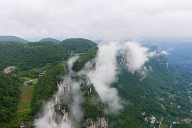 中国湖北恩施黄鹤枫林云顶风景区夏季风光