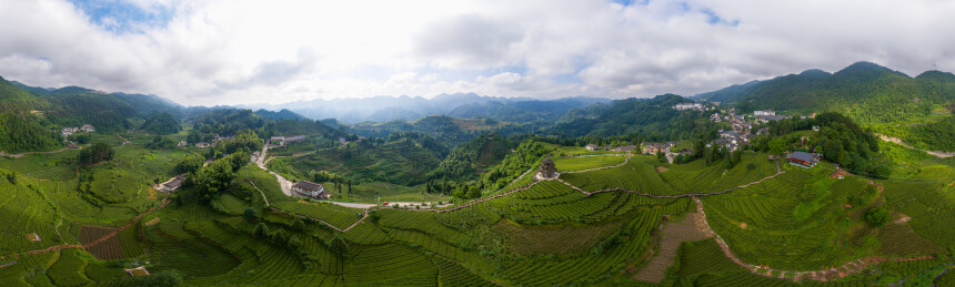 中国湖北恩施市宣恩县伍家台茶园景区夏季风
