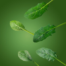 空中悬浮一些蔬菜