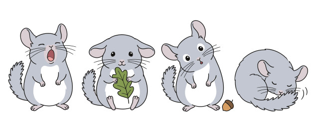 四种姿态灰色卡通龙猫萌系手绘插画合集
