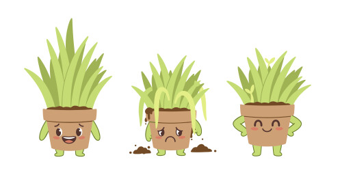 三款神态拟人盆栽绿植卡通形象插画