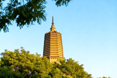古塔林间映蓝天