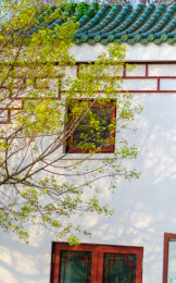 青岛小鱼山中式建筑春季景观