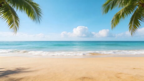 热带海滩椰树蓝天