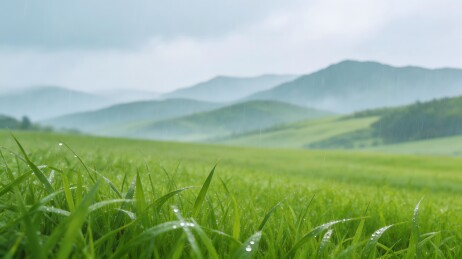 雨后青草露珠山景