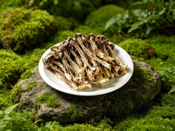 山野青苔布景干鹿茸菌火锅菌菇食材