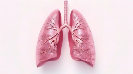 人体肺部健康与病变过程3D医学插图