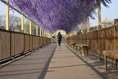 开封清明上河园古风建筑群临水景观