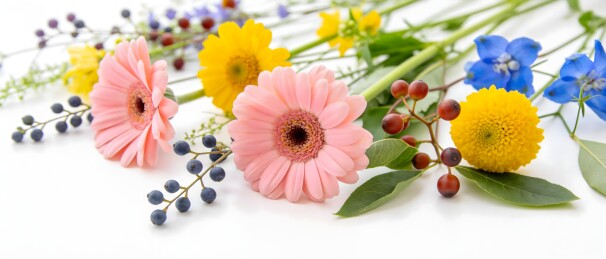 多种颜色的鲜花与浆果组合静物