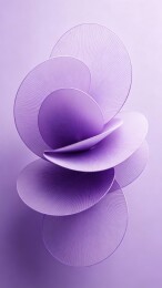 淡紫半透花瓣短视频新媒体配图