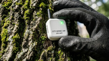 户外树干旁的空气质量微型传感器