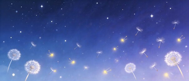 夜空下蒲公英种子飘散画面