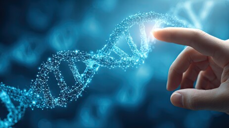 人手轻捏 DNA 双螺旋基因分子结构