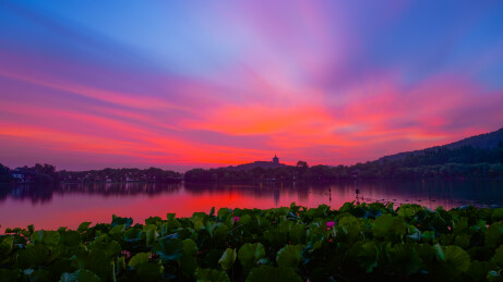 杭州西湖花港观鱼日出朝霞