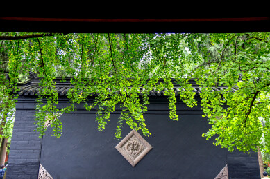 四川成都武侯祠景区